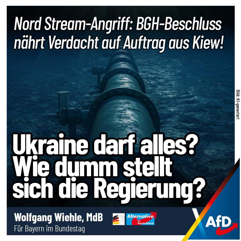 photo_2026-01-28 12.57.27